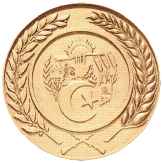 MDN